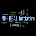 NIH HEAL initiative Word Cloud