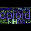 Opioid addiction word cloud, the largest words are opioid, NIH, research, and addiction