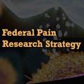 Federal Pain Research Strategy 
