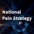 National Pain Strategy
