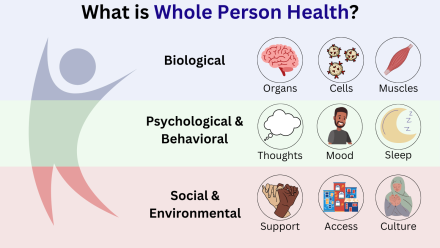 Image showing the components of whole person health as biological, physical/behavioral and socail/environmental.