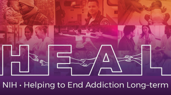 Graphic Representing the NIH Helping to End Addiction Long-Term Initiative
